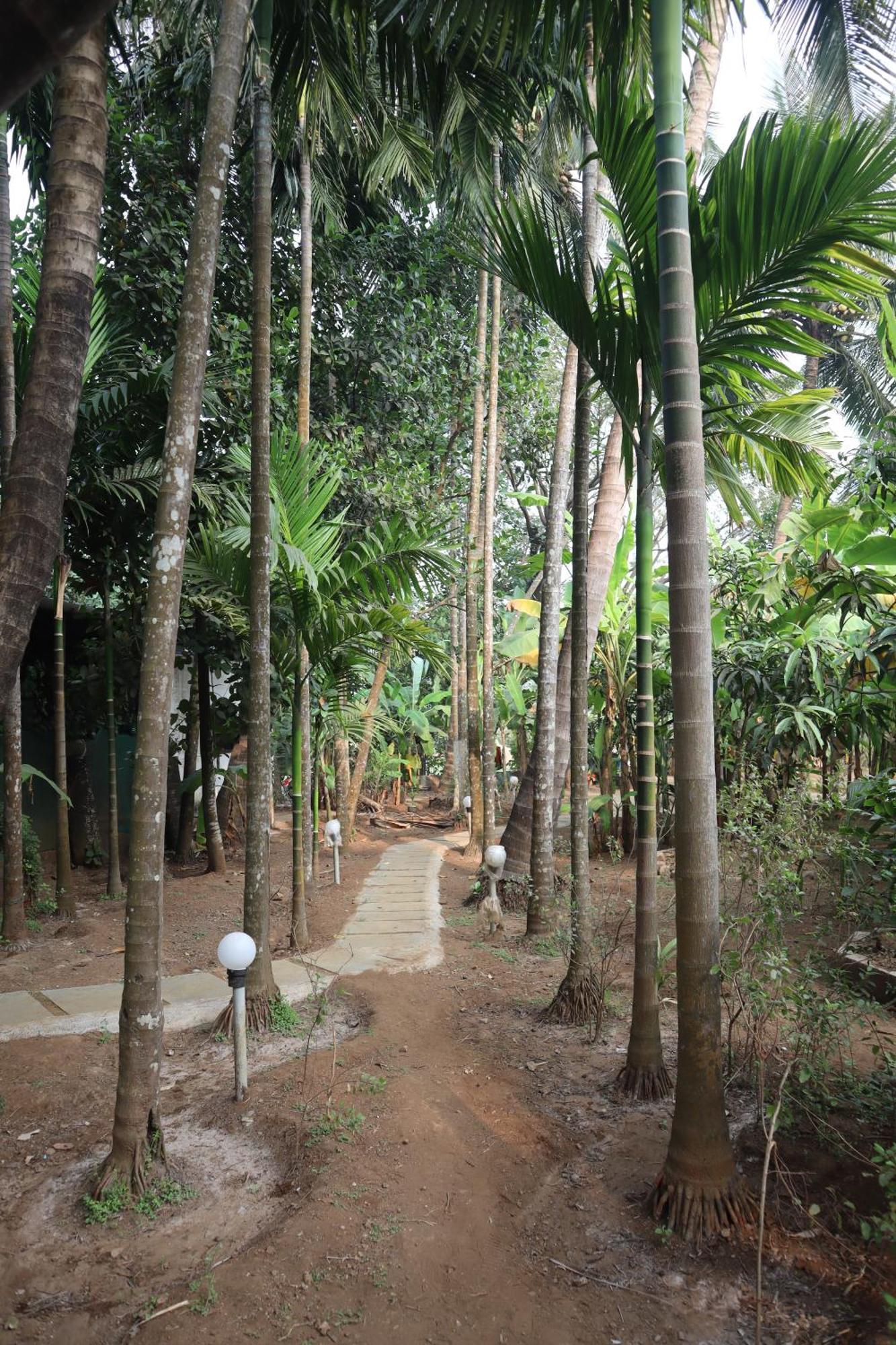 Gokul Cottage & Villa Revadanda Exterior foto